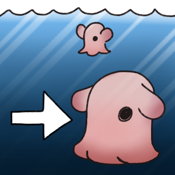 an image showing a small dumbo octopus at shallow water, and a large dumbo octopus in deep, darker water. An arrow points to the larger octopus. The dumbo octopus is a pale pink and has big ear-like paddles on either side of its head.